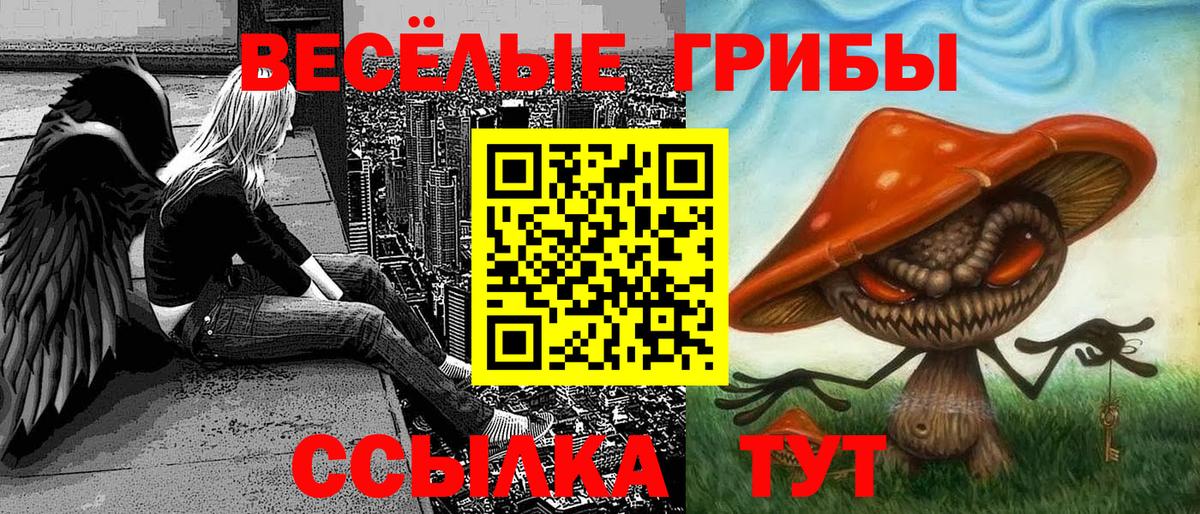 Псилоцибиновые грибы ЛСД  Вход с VPN  Киселёвск 