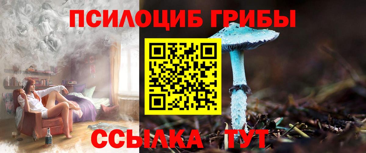 Псилоцибиновые грибы Cubensis Киселёвск